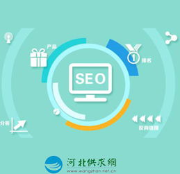 石家莊網絡生態構建 從網站建設到平臺開發的全方位服務